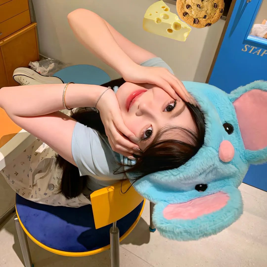 猫忍