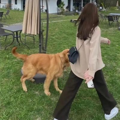 芝加哥警署第六季
